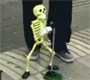 Skeleton Video